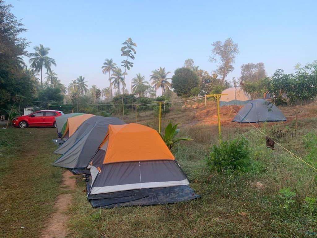 Wilderness Jungle Camp Ξενοδοχείο Malavalli Εξωτερικό φωτογραφία