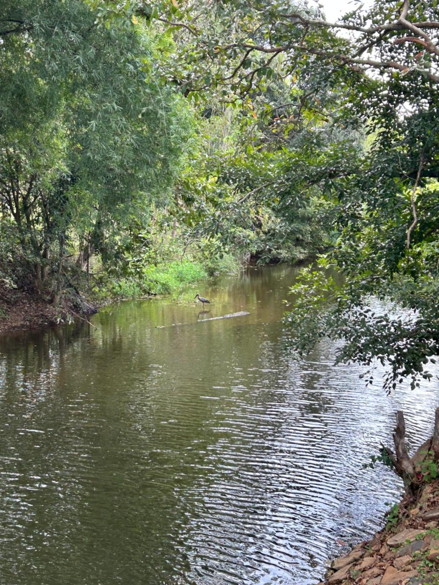 Wilderness Jungle Camp Ξενοδοχείο Malavalli Εξωτερικό φωτογραφία